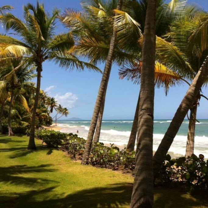 Beach Access + 3 Pools + Ocean Views - 2Br In Palmas - Sleeps 7 Lägenhet Humacao Exteriör bild